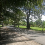 Madang Visitors & Cultural Bureau