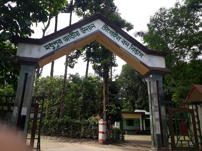 Madhupur National Park