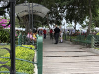 Madre Fuente Park Travel Forum Reviews