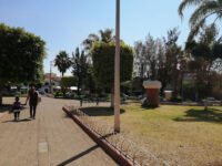 Maestro Park Travel Forum Reviews