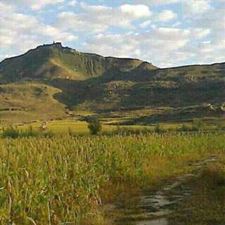 Mafeteng