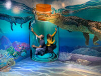 Magic Eye 3D Museum Travel Forum Reviews