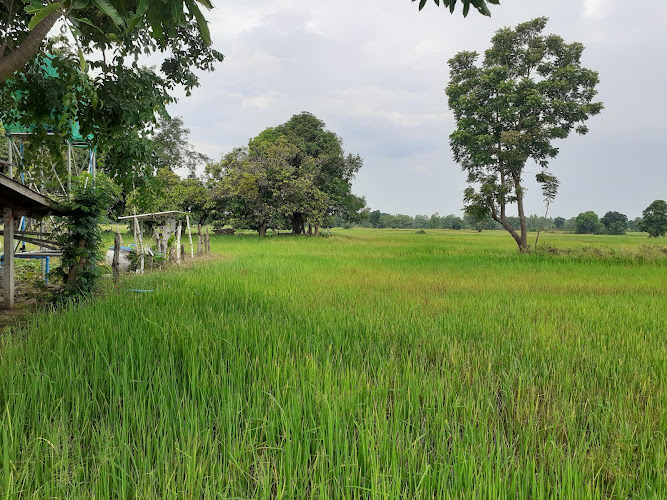 Maha Sarakham