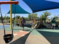 Mahany Park Travel Forum Reviews