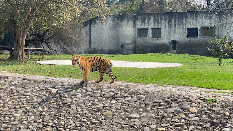 Mahendra Chaudhary Zoological Park