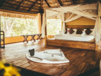 Mahoora Travel Forum Reviews