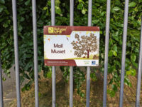 Mail Musset Travel Forum Reviews