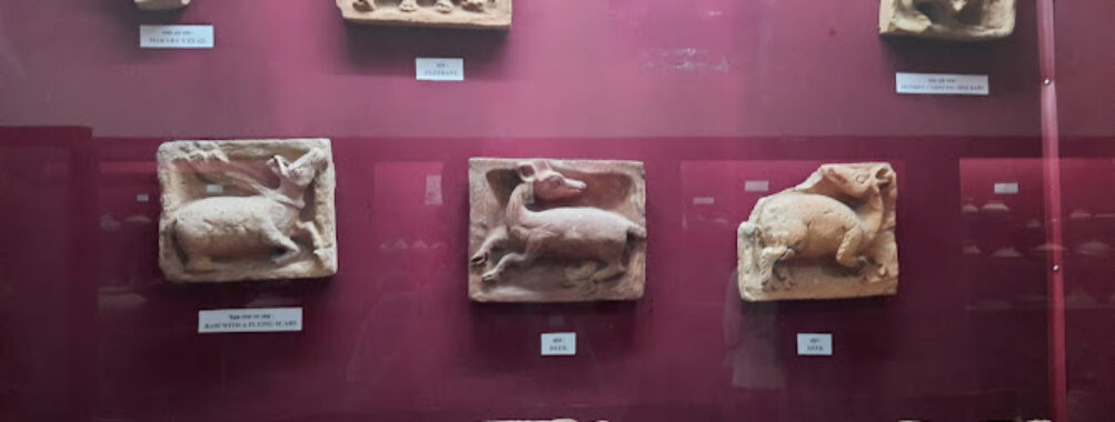 Mainamati Museum Travel Forum Reviews