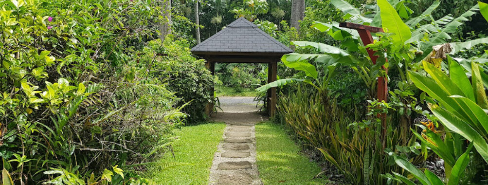 Maire Nui Gardens & Cafe Travel Forum Reviews