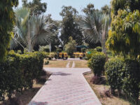 Majeed Amjad Park or Company Bagh Travel Forum Reviews