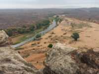 Makuya Nature Reserve Travel Forum Reviews