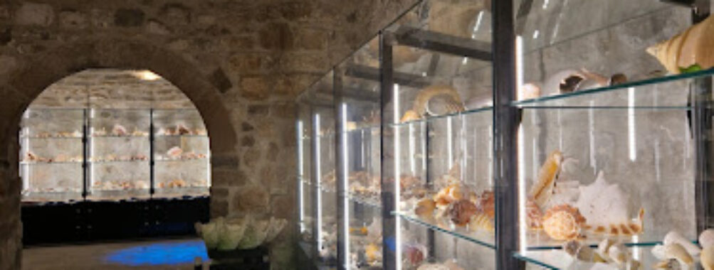 Malacological Museum Travel Forum Reviews