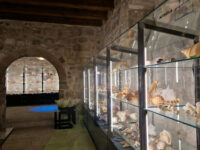 Malacological Museum Travel Forum Reviews