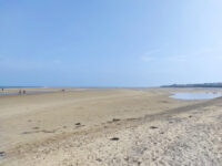 Malahide Beach Travel Forum Reviews