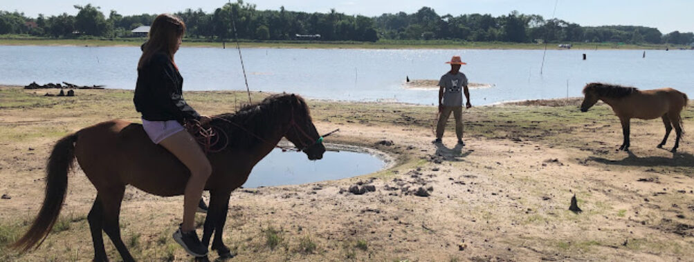 Maland Farm Travel Forum Reviews