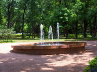 Mali National Park. Travel Forum Reviews