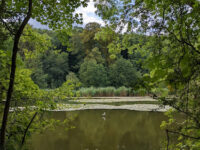 Malmaison Forest Travel Forum Reviews