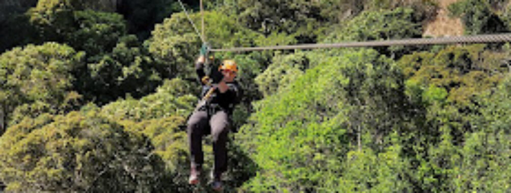 Malolotja Canopy Tour Travel Forum Reviews