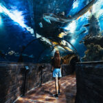 Malta National Aquarium
