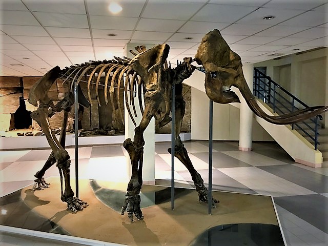 Mammoth Museum
