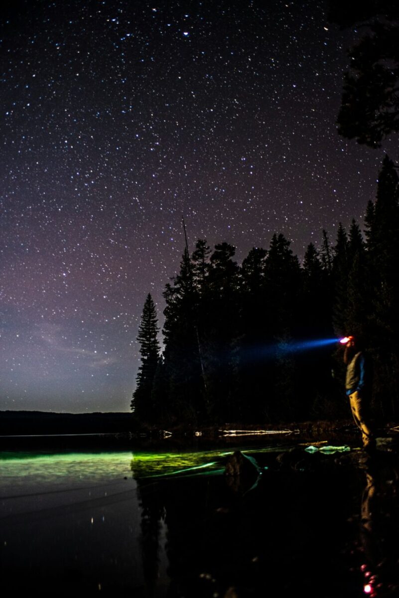 Man stargazing outdoors among trees and serene lake