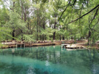 Manantial Media Luna Travel Forum Reviews