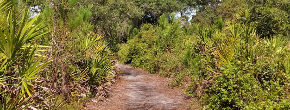 Manasota Scrub Preserve Travel Forum Reviews