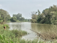 Mandagadde Bird Sanctuary Travel Forum Reviews