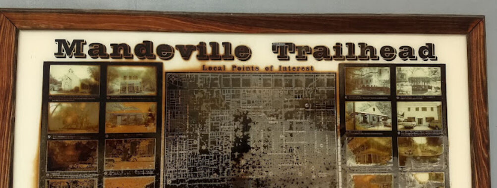 Mandeville Trailhead Community Farmers' Market Travel Forum Reviews