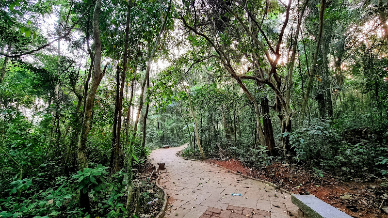 Mangrove Forests, Kozhikode