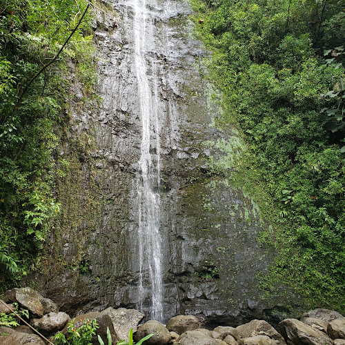 Mānoa Falls Trail