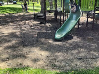 Mansfield Parks Department Travel Forum Reviews