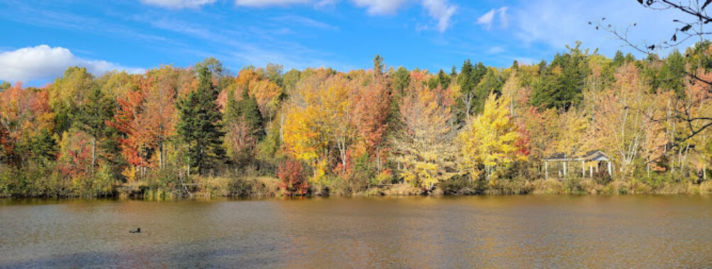 Mapleton Park Travel Forum Reviews