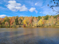 Mapleton Park Travel Forum Reviews