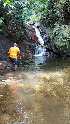 Maracas Waterfall