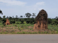 Marahoué National Park Travel Forum Reviews