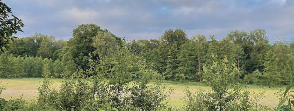 Marais de Jette Travel Forum Reviews