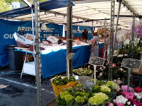 Marché de la Tourelle Travel Forum Reviews