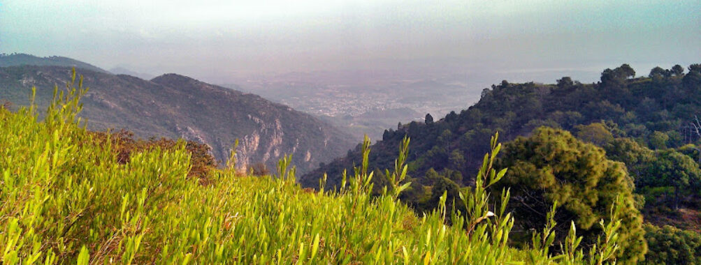 Margalla Hills National Park Travel Forum Reviews