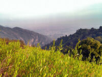 Margalla Hills National Park Travel Forum Reviews