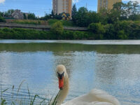 Maribor Travel Forum Reviews