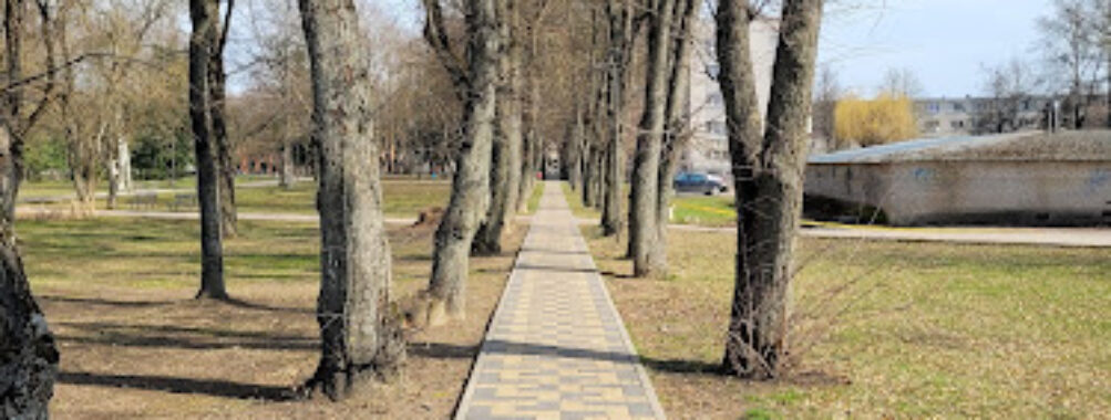 Marijonų parkas Travel Forum Reviews