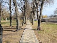 Marijonų parkas Travel Forum Reviews