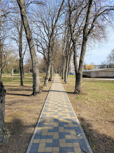 Marijonų parkas