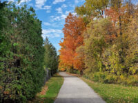 Marilyn Powell Park Travel Forum Reviews
