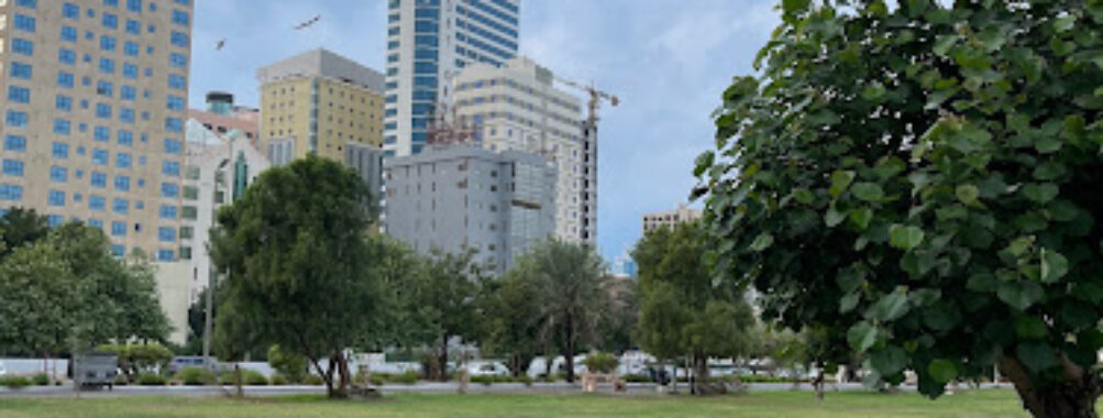Marina Beach Garden Park Travel Forum Reviews