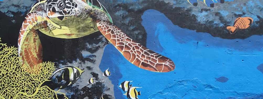 Marine Conservation Graffiti Travel Forum Reviews