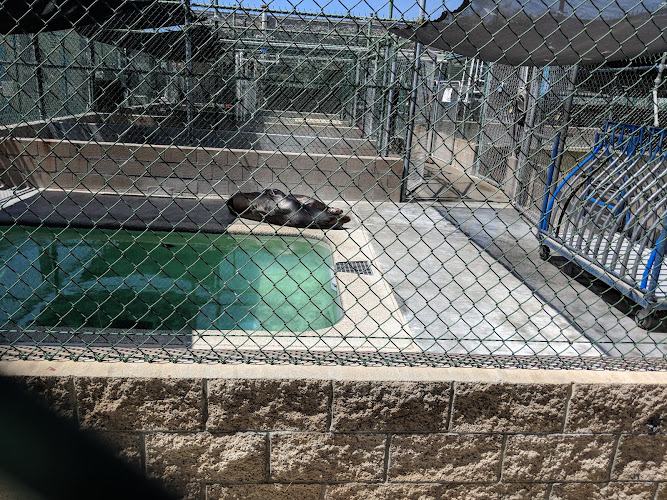 Marine Mammal Care Center