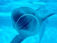 Marine World Travel Forum Reviews
