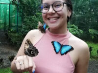 Mariposario Alas del Destino Travel Forum Reviews